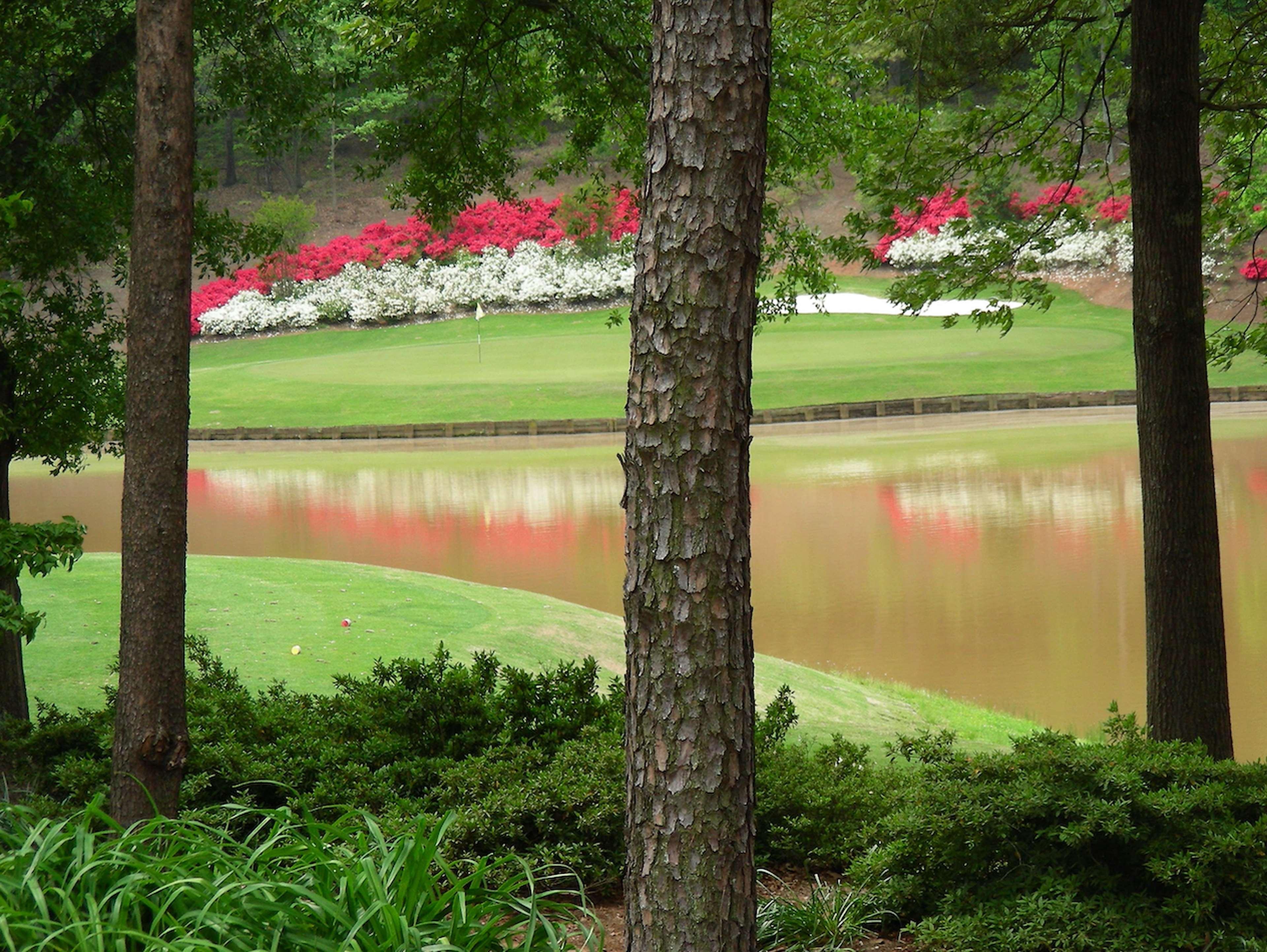 Embassy Suites Greenville Golf Resort & Conference Center Екстериор снимка